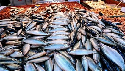 淡水水產品種類概覽